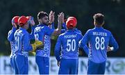 11 August 2022; Naveen ul Haq Murid of Afghanistan, centre, celebrates  with team-mates after bowling Paul Stirling of Ireland during the Men's T20 International match between Ireland and Afghanistan at Stormont in Belfast. Photo by Sam Barnes/Sportsfile
