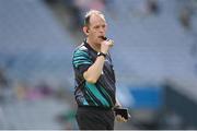 7 August 2022; Referee Mike Ryan during the Glen Dimplex All-Ireland Premier Junior Camogie Championship Final match between Antrim and Armagh at Croke Park in Dublin. Photo by Seb Daly/Sportsfile