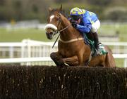 29 April 2004; Commonchero, with Paul Carberry up, jumps the last during the Swordlestown Cup Novice Steeplechase, Punchestown Racecourse, Co. Kildare. Picture credit; Matt Browne / SPORTSFILE