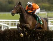 29 April 2004; Emperors Guest, with David Casey up, jumps the last during the Swordlestown Cup Novice Steeplechase, Punchestown Racecourse, Co. Kildare. Picture credit; Matt Browne / SPORTSFILE