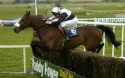 30 April 2004; Junior Fontaine, with Conor O'Dwyer up, jumps the last on their way to winning the Mountbrook Homes Handicap Steeplechase, Punchestown Racecourse, Co. Kildare. Picture credit; Matt Browne / SPORTSFILE