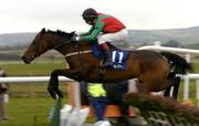 30 April 2004; Solerina, with Gary Hutchinson up, jumps the last during the Emo Oil Champion Hurdle, Punchestown Racecourse, Co. Kildare. Picture credit; Matt Browne / SPORTSFILE