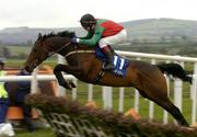 30 April 2004; Solerina, with Gary Hutchinson up, jumps the last during the Emo Oil Champion Hurdle, Punchestown Racecourse, Co. Kildare. Picture credit; Matt Browne / SPORTSFILE