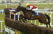 30 April 2004; Where Now, with Timmy Murphy up, jumps the last during the Sharp Minds Betfair Novice Handicap Chase, Punchestown Racecourse, Co. Kildare. Picture credit; Matt Browne / SPORTSFILE