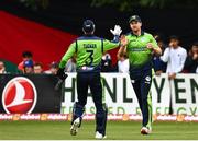 17 August 2022; Barry McCarthy of Ireland celebrates catching out Ibrahim Zadran of Afghanistan with teammate Lorcan Tucker during the Men's T20 International match between Ireland and Afghanistan at Stormont in Belfast. Photo by Harry Murphy/Sportsfile