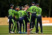 17 August 2022; Josh Little of Ireland celebrates with teammates after claiming the wicket of Mohammad Nabi of Afghanistan during the Men's T20 International match between Ireland and Afghanistan at Stormont in Belfast. Photo by Harry Murphy/Sportsfile