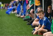 25 August 2022; A young supporter looks on during an open training session on day one of the Leinster Rugby 12 Counties Tour at Longford RFC in Longford. Photo by Harry Murphy/Sportsfile