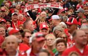 26 August 2022; Nebraska Cornhuskers supporters during the pep-rally at Merrion Square in Dublin ahead of the the Aer Lingus College Football Classic 2022 match between Northwestern Wildcats and Nebraska Cornhuskers. Photo by David Fitzgerald/Sportsfile