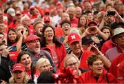 26 August 2022; Nebraska Cornhuskers supporters during the pep-rally at Merrion Square in Dublin ahead of the the Aer Lingus College Football Classic 2022 match between Northwestern Wildcats and Nebraska Cornhuskers. Photo by David Fitzgerald/Sportsfile