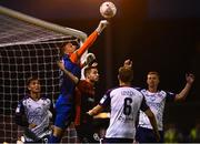 29 August 2022; St Patrick's Athletic goalkeeper Danny Rogers during the SSE Airtricity League Premier Division match between Bohemians and St Patrick's Athletic at Dalymount Park in Dublin. Photo by Eóin Noonan/Sportsfile