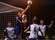 29 August 2022; St Patrick's Athletic goalkeeper Danny Rogers during the SSE Airtricity League Premier Division match between Bohemians and St Patrick's Athletic at Dalymount Park in Dublin. Photo by Eóin Noonan/Sportsfile