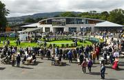 10 September 2022; A view of the Goffs Champions Sale in the parade ring before racing on day one of the Longines Irish Champions Weekend at Leopardstown Racecourse in Dublin. Photo by Seb Daly/Sportsfile
