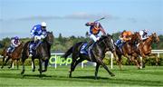 10 September 2022; Auguste Rodin, centre, with Ryan Moore up, on their way to winning the KPMG Champions Juvenile Stakes on day one of the Longines Irish Champions Weekend at Leopardstown Racecourse in Dublin. Photo by Seb Daly/Sportsfile