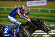 10 September 2022; Auguste Rodin, with Ryan Moore up, on their way to winning the KPMG Champions Juvenile Stakes on day one of the Longines Irish Champions Weekend at Leopardstown Racecourse in Dublin. Photo by Seb Daly/Sportsfile