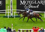 11 September 2022; Above The Curve, left, with Ryan Moore up, on their way to winning the Moyglare 'Jewels' Blandford Stakes, from second place Insinuendo, 3, with Colin Keane up, on day two of the Longines Irish Champions Weekend at The Curragh Racecourse in Kildare. Photo by Seb Daly/Sportsfile