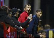 22 September 2022; A young Shelbourne supporter celebrates at the final whistle during the SSE Airtricity League Premier Division match between Shelbourne and Shamrock Rovers at Tolka Park in Dublin. Photo by Sam Barnes/Sportsfile