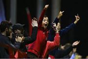 22 September 2022; A young Shelbourne supporter celebrates at the final whistle during the SSE Airtricity League Premier Division match between Shelbourne and Shamrock Rovers at Tolka Park in Dublin. Photo by Sam Barnes/Sportsfile