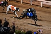 24 September 2022; Flashing Willow, 2, on the way to winning race two of the 2022 BoyleSports Irish Greyhound Derby Final meeting at Shelbourne Park in Dublin. Photo by Seb Daly/Sportsfile