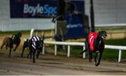 24 September 2022; Swords Rex on the way to winning race three of the 2022 BoyleSports Irish Greyhound Derby Final meeting at Shelbourne Park in Dublin. Photo by Seb Daly/Sportsfile