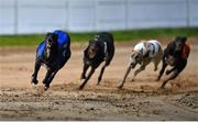 24 September 2022; Pablo Escobark, left, on the way to winning race four of the 2022 BoyleSports Irish Greyhound Derby Final meeting at Shelbourne Park in Dublin. Photo by Seb Daly/Sportsfile