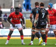 25 September 2022; Edwin Edogbo of Munster during the United Rugby Championship match between Dragons and Munster at Rodney Parade in Newport, Wales. Photo by Ben Evans/Sportsfile