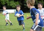 13 August 2013; Camp participant Matthew Kearney, age 6, in action during a Leinster Rugby Summer Camp at DLSP RFC, Kirwan Park, Kilternan, Co. Dublin. Picture credit: Brian Lawless / SPORTSFILE