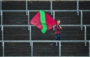 9 October 2022; A young Portarlington supporter carries a flag as he makes his way along the terraces before the Laois County Senior Football Championship Final match between O'Dempseys and Portarlington at MW Hire O'Moore Park in Portlaoise, Laois. Photo by Sam Barnes/Sportsfile