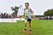 16 October 2022; Daniel Gallagher of Moy Valley AC, on his way to winning the u11 boys 4x500m at the Inter-Club Cross Country Relays 2022 during the Autumn International Cross Country Festival 2022 at the Sport Ireland Campus in Dublin. Photo by Sam Barnes/Sportsfile