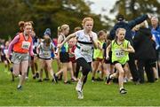16 October 2022; Athletes competing in the U11 girls 4x500m relay at the Inter-Club Cross Country Relays 2022 during the Autumn International Cross Country Festival 2022 at the Sport Ireland Campus in Dublin. Photo by Sam Barnes/Sportsfile
