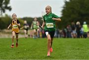 16 October 2022; Emelia Butler of Newbridge AC, Kildare, competing in the u11 girls 4x500m event at the Inter-Club Cross Country Relays 2022 during the Autumn International Cross Country Festival 2022 at the Sport Ireland Campus in Dublin. Photo by Sam Barnes/Sportsfile