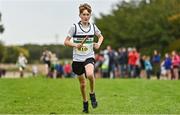 16 October 2022; Max Smiddy of Midleton AC, Cork, competing in the u13 boys 4x500m event at the Inter-Club Cross Country Relays 2022 during the Autumn International Cross Country Festival 2022 at the Sport Ireland Campus in Dublin. Photo by Sam Barnes/Sportsfile