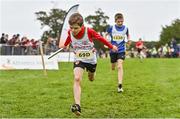 16 October 2022; Rian Kiely Keogan of Limerick AC, competing in the u11 boys 4x500m event at the Inter-Club Cross Country Relays 2022 during the Autumn International Cross Country Festival 2022 at the Sport Ireland Campus in Dublin. Photo by Sam Barnes/Sportsfile