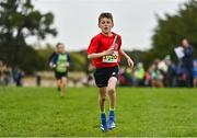 16 October 2022; An athlete from St Cronans AC, Clare, competing in the u11 boys 4x500m event at the Inter-Club Cross Country Relays 2022 during the Autumn International Cross Country Festival 2022 at the Sport Ireland Campus in Dublin. Photo by Sam Barnes/Sportsfile