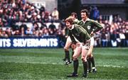 19 February 1983; Ollie Campbell of Ireland during the Five Nations Rugby Championship match between Ireland and France at Lansdowne Road in Dublin. Photo by Ray McManus/Sportsfile