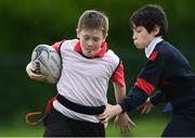 27 October 2022; Participants during the Leinster Rugby Primary School Tag Blitz at Clontarf RFC in Dublin. Photo by Harry Murphy/Sportsfile