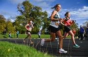 30 October 2022; Participants pass through the Phoenix Park during the 2022 Irish Life Dublin Marathon. 25,000 runners took to the Fitzwilliam Square start line to participate in the 41st running of the Dublin Marathon after a two-year absence. Photo by David Fitzgerald/Sportsfile