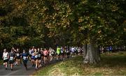 30 October 2022; Participants pass through the Phoenix Park in the 2022 Irish Life Dublin Marathon. 25,000 runners took to the Fitzwilliam Square start line to participate in the 41st running of the Dublin Marathon after a two-year absence. Photo by David Fitzgerald/Sportsfile