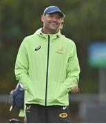 1 November 2022; South africa head coach Jacques Nienaber during South Africa rugby squad training at UCD in Dublin. Photo by Brendan Moran/Sportsfile