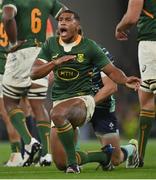 5 November 2022; Damian Willemse of South Africa celebrates winning a penalty during the Bank of Ireland Nations Series match between Ireland and South Africa at the Aviva Stadium in Dublin. Photo by Ramsey Cardy/Sportsfile
