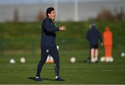 15 November 2022; Coach Keith Andrews during a Republic of Ireland training session at the FAI National Training Centre in Abbotstown, Dublin. Photo by Seb Daly/Sportsfile