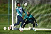 16 November 2022; Chiedozie Ogbene, left, and goalkeeper Gavin Bazunu during a Republic of Ireland training session at the FAI National Training Centre in Abbotstown, Dublin. Photo by Seb Daly/Sportsfile