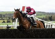 19 November 2022; Midnight Run, with Bryan Cooper up, jump the last on their way to winning The Oak Lodge Landscapes Craddockstown Novice Steeplechase during day one of the Punchestown Festival at Punchestown Racecourse in Kildare. Photo by Matt Browne/Sportsfile