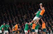 19 November 2022; Cadeyrn Neville of Australia takes possession in a lineout ahead of Tadhg Beirne of Ireland during the Bank of Ireland Nations Series match between Ireland and Australia at the Aviva Stadium in Dublin. Photo by Harry Murphy/Sportsfile