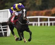 19 November 2022; Deep Cave with Davy Russell up, during The O'Connor Heating & Plumbing Supporting Longford GAA Maiden Hurdle during day one of the Punchestown Festival at Punchestown Racecourse in Kildare. Photo by Matt Browne/Sportsfile