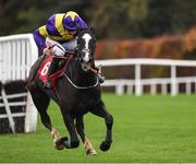 19 November 2022; Deep Cave with Davy Russell up, during The O'Connor Heating & Plumbing Supporting Longford GAA Maiden Hurdle during day one of the Punchestown Festival at Punchestown Racecourse in Kildare. Photo by Matt Browne/Sportsfile