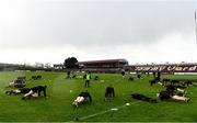 20 November 2022; Strokestown players warm up before the AIB Connacht GAA Football Senior Club Championship Semi-Final match between Moycullen and Strokestown at Tuam Stadium in Tuam, Galway. Photo by Sam Barnes/Sportsfile