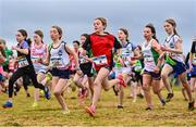 20 November 2022; Isla Donoghue of Clare River Harriers AC, Galway, 4, competing in the Girls U12 2000m during the 123.ie Senior and Even Age Cross County Championships at Rosapenna Golf Course in Rosapenna, Donegal. Photo by Ben McShane/Sportsfile