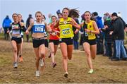 20 November 2022; Róise Roberts of North Belfast Harriers AC, Donegal, 116, leads the field in the Girls U18 4000m during the 123.ie Senior and Even Age Cross County Championships at Rosapenna Golf Course in Rosapenna, Donegal. Photo by Ben McShane/Sportsfile