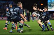 26 November 2022; Action between Navan and Kilkenny during the Bank of Ireland Half-time Minis at United Rugby Championship match between Leinster and Glasgow Warriors at RDS Arena in Dublin. Photo by Tyler Miller/Sportsfile
