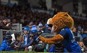 26 November 2022; Leo the Lion during the United Rugby Championship match between Leinster and Glasgow Warriors at RDS Arena in Dublin. Photo by Ramsey Cardy/Sportsfile